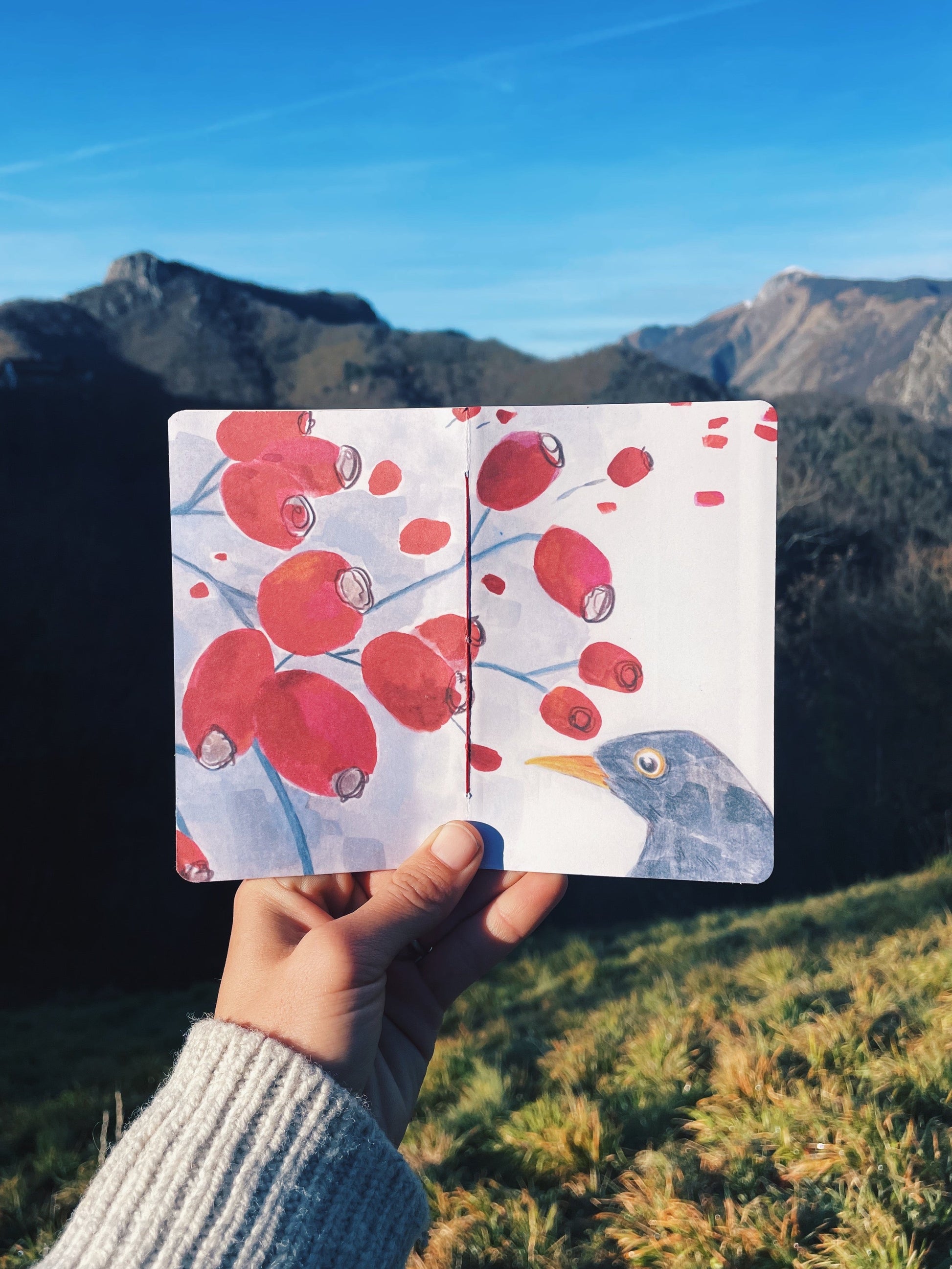 OFFLINETI.ME %uyum_store% Pocket Journal Abonnement